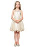 Petite Adele Girls Champagne Sweetheart Illusion Neckline Jewel Dress 6-16 - SophiasStyle.com